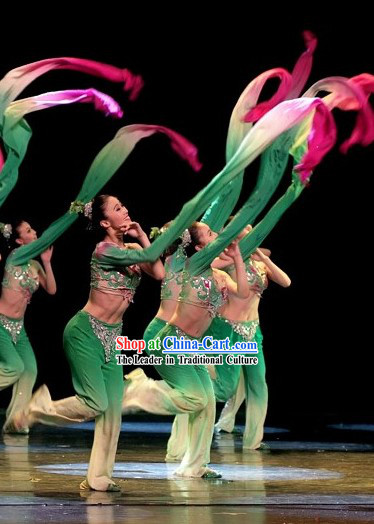 Traditional Chinese Water Sleeve Dance Costumes Complete Set