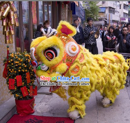 Supreme Traditional Handmade Lucky Feng Shui Long Wool Lion Dance Costume Complete Set