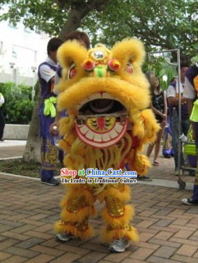 One Child Lion Dance Costume