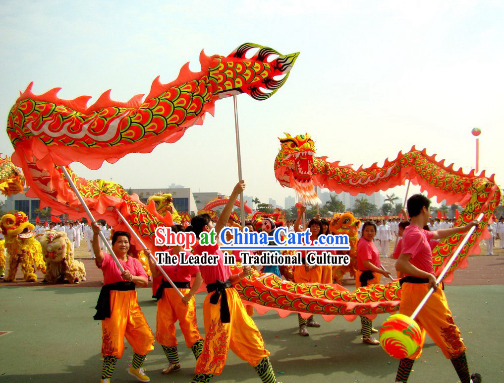 Competition and Performance Luminous Dragon Dance Costumes Complete Set
