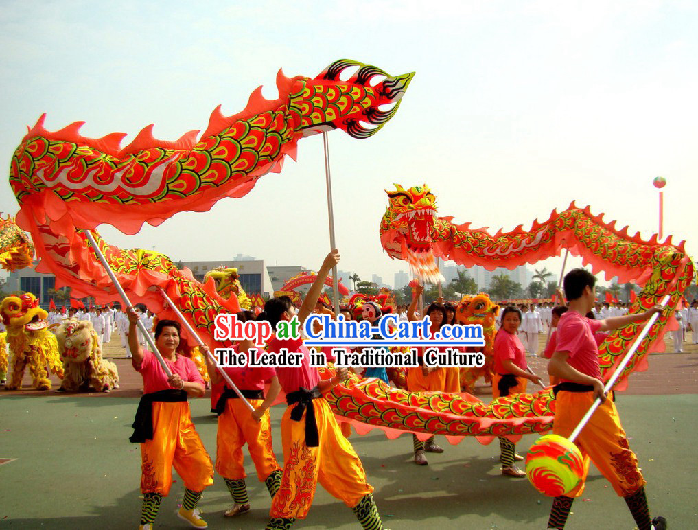 Lion Dance Dragon Dance