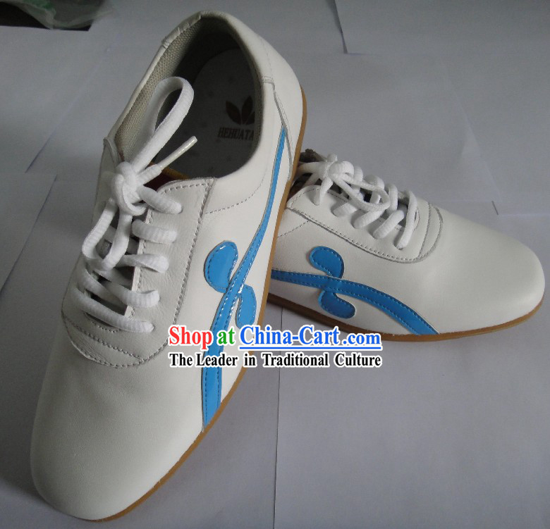 Traditional Chinese Tai Chi Kung Fu Shoes