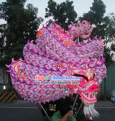 Glowing in Dark Luminous Peacock Pattern Dragon Dance Costumes Complete Set