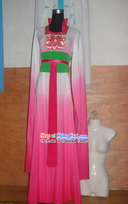 Chinese Water Sleeve Shui Xiu Dance Costumes