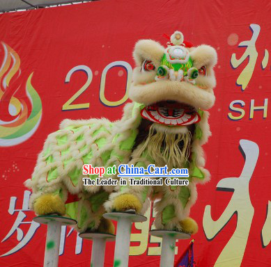 Fluorescent Competition and Parade Lion Head and Costumes Complete Set