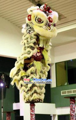 Supreme HOK SAN Competition Lion Dance Costume Complete Set