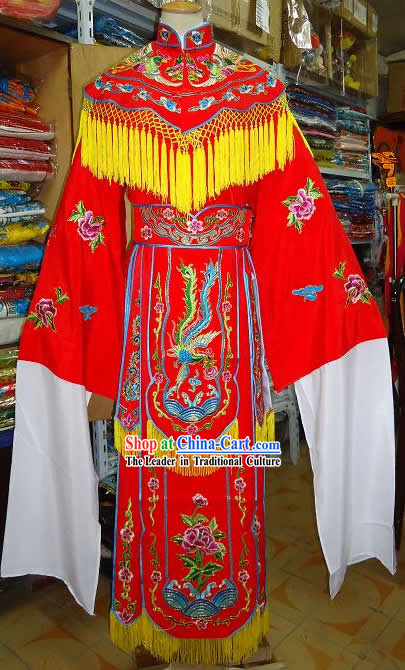 Chinese Beijing Opera Embroidered Phoenix Costume