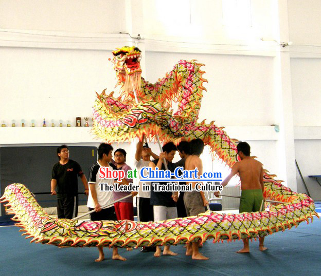 Traditional Luminous Dragon Dance Costume Complete Set