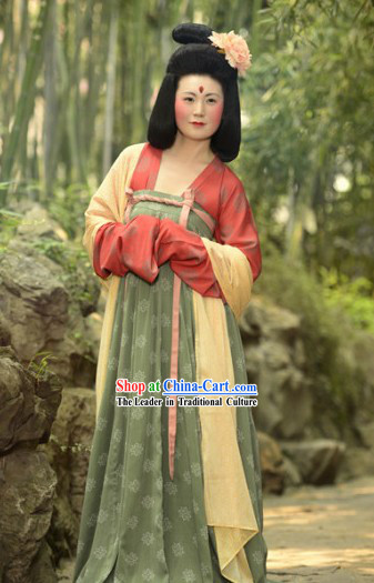 Ancient Chinese Tang Dynasty Lady Clothing Complete Set for Women