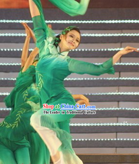 Traditional Chinese Green Willow Dance Costumes and Hair Accessories for Women