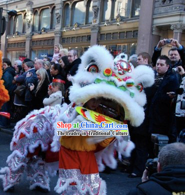 Great Parade and Festival Celebrations Chinese Lion Dance Costume Complete Set for Children