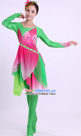 Traditional Chinese Classic Dance Costume and Headwear for Women