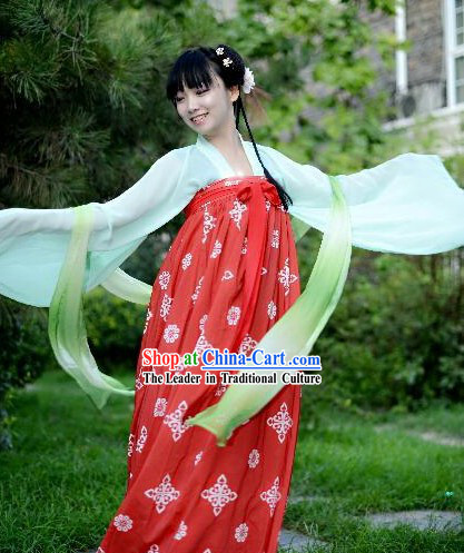 Traditional Chinese Tang Dynasty Birthday Celebration Ruqun Complete Set