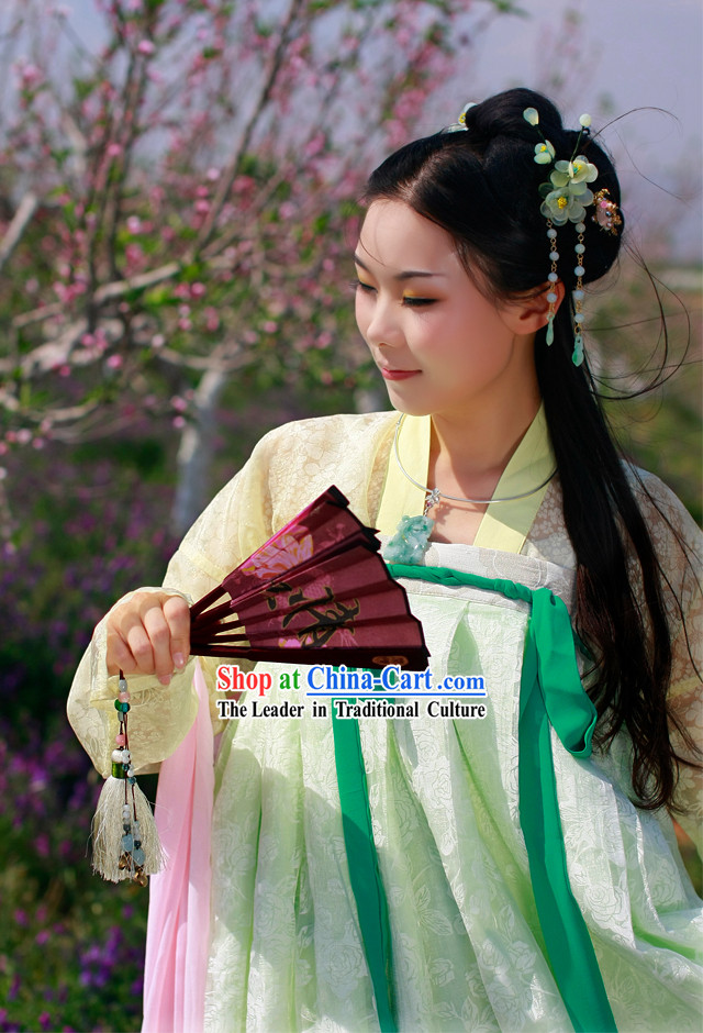 Tang Dynasty Princess Ruqun Clothing and Cape Complete Set