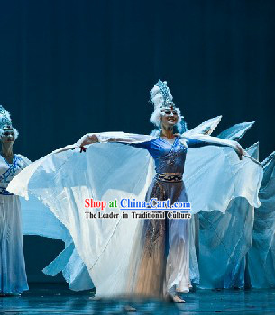 Swan Dance Costumes and Headdress Complete Set for Women