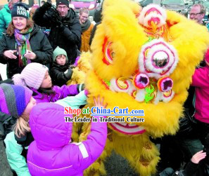 Yellow Happy New Year Supreme Quality Lion Dance Costume Complete Set