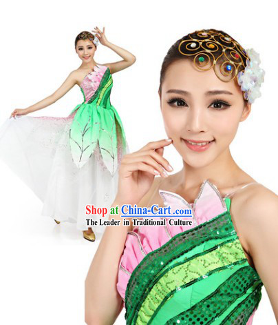 Professional Chinese Classic Green Dance Costumes and Headwear Complete Set for Women