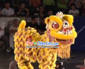 World Lion Dance Competition Hoksan Lion Head Adult Size Costumes Complete Set