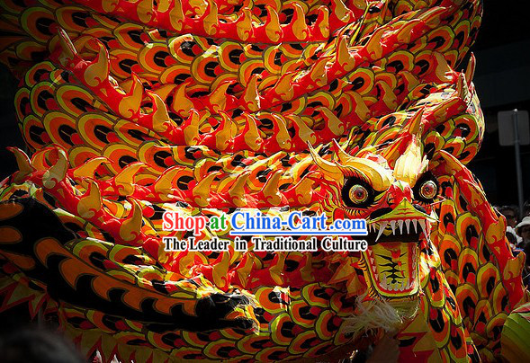 Professional Dragon Dance Costume Complete Set for 9-10 People