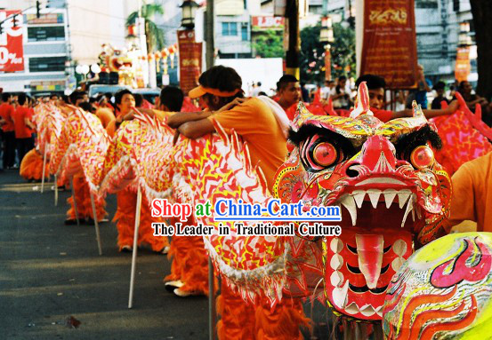 Chinese Year Lumious Dragon Dance Costume for 9-10 Persons