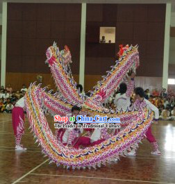 High School Luminous Dragon Dance Costume Complete Set for Students