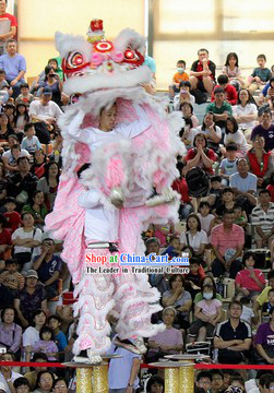 Chinese Year White Pink Southern Professional Lion Dance Costume
