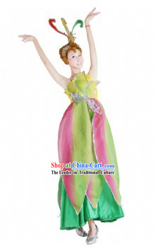 Chinese Flower Dance Costumes and Headdress for Women