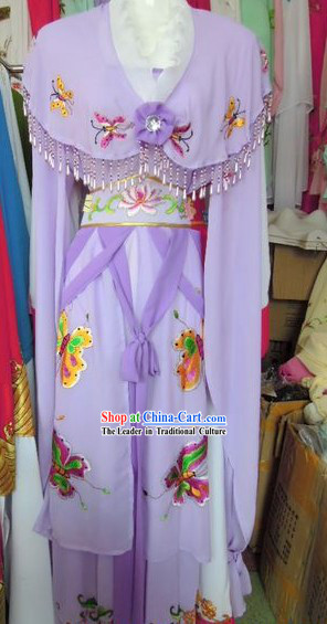 Ancient Chinese Purple Butterfly Robe for Women