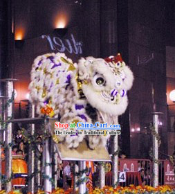 Grand Opening Ceremony Performance Lion Dance Costume Complete Set