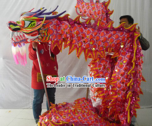 Luminous Dragon Dance Costume for 9-10 People