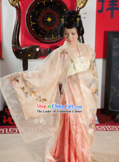 Traditional Ancient Chinese Tang Dynasty Outfit Clothes for Women