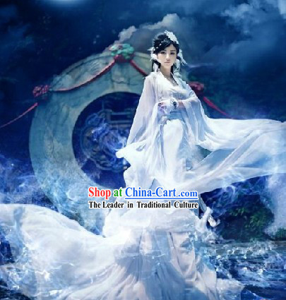 Pure White Ancient Chinese Film Character Fairy Costume for Women