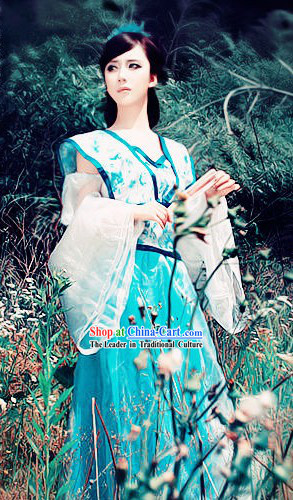 Ancient Chinese Fairy Goddness Costume for Women