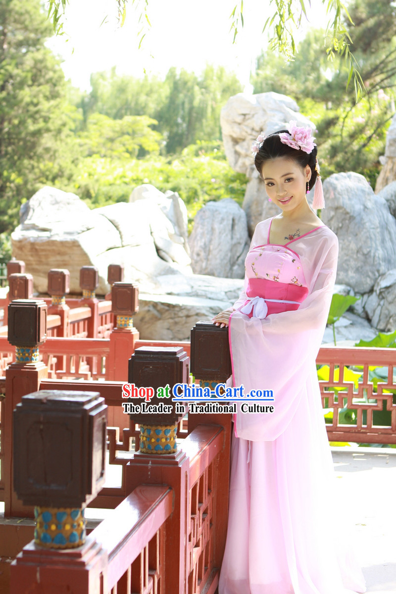 Ancient Chinese Pink Tang Dynasty Lady Costumes
