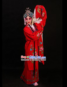 Peking Opera Hua Dan Long Sleeve Costumes and Skirt for Women