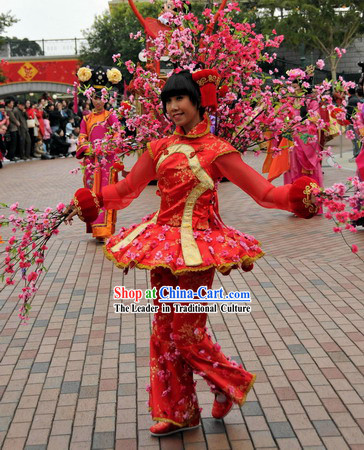 Chinese New Year Flower Dance Costumes for Women