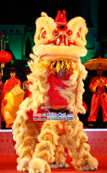 Good Fortune For All Lunar New Year Lion Dance Costume Complete Set