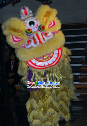 Worldwide Delivery Traditional Asian Lion Dance Costume Complete Set
