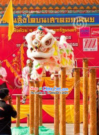 Rainbow Color Lion Dance Head and Tail Costumes Complete Set