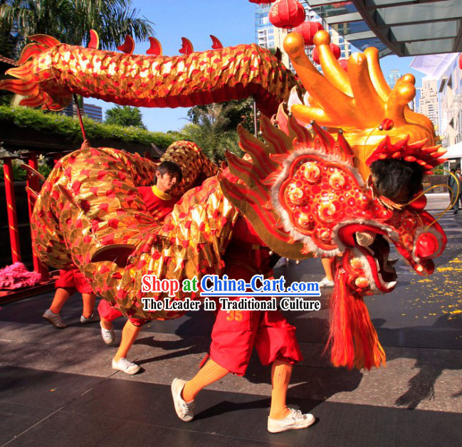 Red Chinese New Year Parade Long Wool Dragon Dance Costumes Complete Set