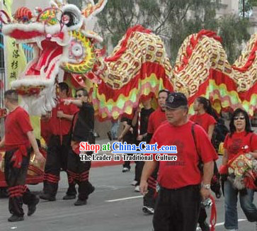Best Chinese Southern Dragon Dance Costume Complete Set