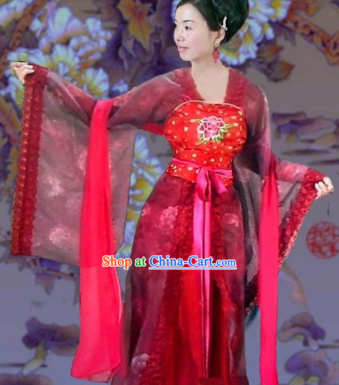 Tang Dynasty Big Sleeves Clothes for Women