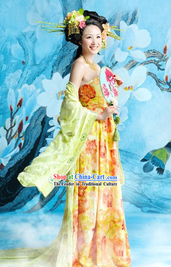 Traditional Chinese Tang Dynasty Lady Dress for Women