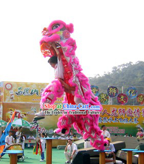 Pink Lion Dancing Costume Complete Set for Display and Play