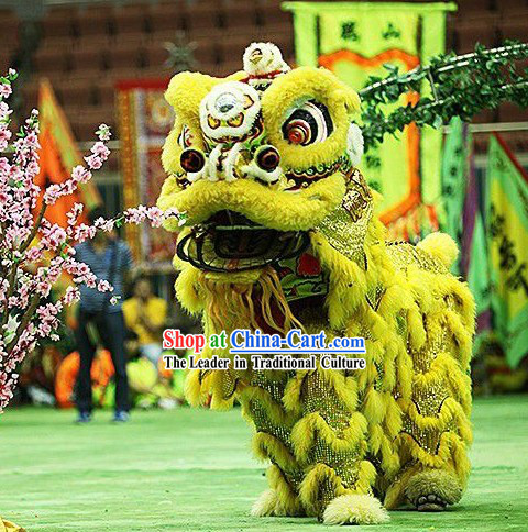 Folk Chinese Lion Dance Costume Complete Set for Display and Collection