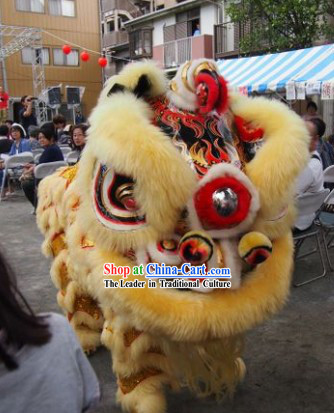 Best Handmade Lion Dance Costume Complete Set