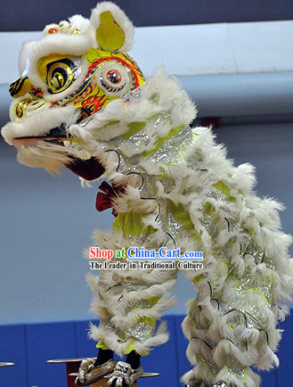 Hand Made and Painted Young Lion Dance Head and Costume Complete Set