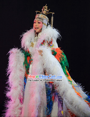 Long Trail Feather Royal Stage Performance Clothes and Hair Accessories Complete Set