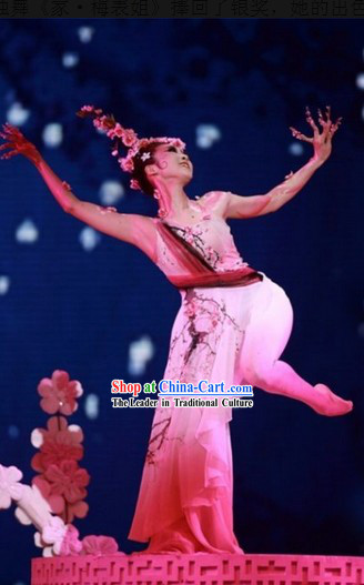 Traditional Chinese Pink Plum Blossom Classical Dancing Costume Complete Set