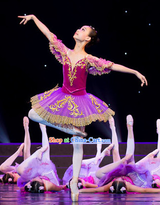 Professional Custom Make Ballet School Competition Dance Tutu
